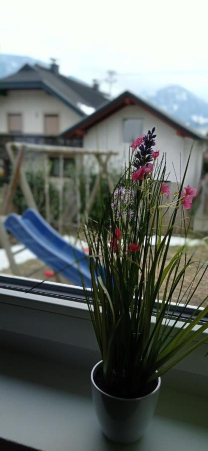 Haus Elli Apartment ไกรเฟนบวร์ก ภายนอก รูปภาพ