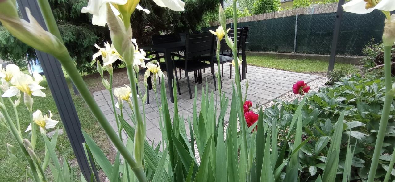 Haus Elli Apartment ไกรเฟนบวร์ก ภายนอก รูปภาพ