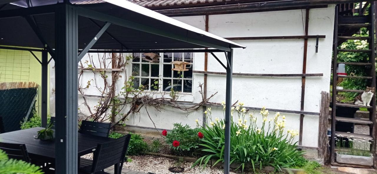 Haus Elli Apartment ไกรเฟนบวร์ก ภายนอก รูปภาพ